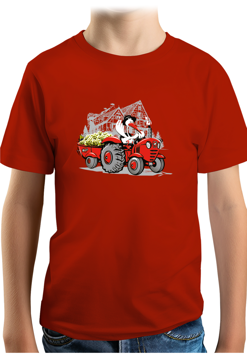 T-Shirt Garçon Les vendanges Alsaciennes avec cigogne