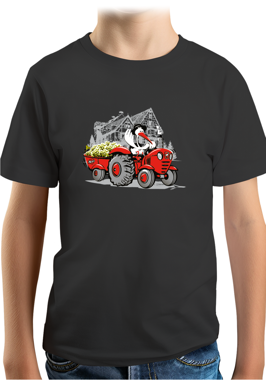 T-Shirt Garçon Les vendanges Alsaciennes avec cigogne