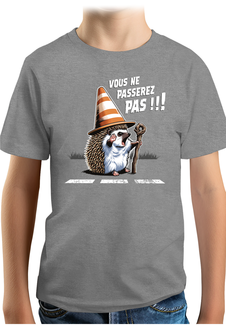T-Shirt Garçon Hérisson Gandalf, vous ne passerez pas sur la route !