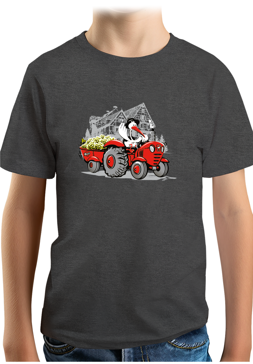 T-Shirt Garçon Les vendanges Alsaciennes avec cigogne