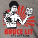 Bruce Lit 