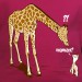 Girafe maman