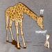 Girafe maman