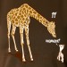Girafe maman