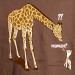 Girafe maman