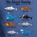 Family Shark