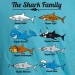 Family Shark