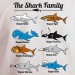 Family Shark