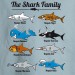 Family Shark