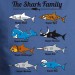 Family Shark