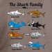 Family Shark