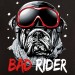 t-shirt Les Alpes - Bad rider