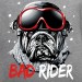 t-shirt Les Alpes - Bad rider