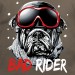 t-shirt Les Alpes - Bad rider