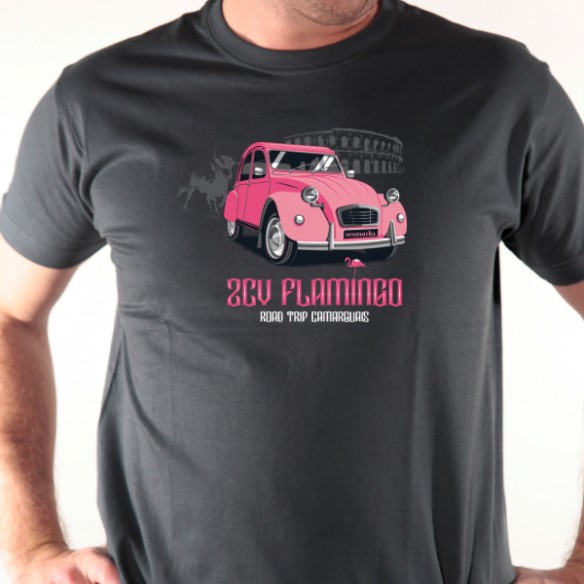 2 CV Flamingo 