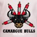 T shirt Sud - Camargue bulls