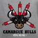 T shirt Sud - Camargue bulls