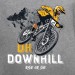 DH downhill vtt