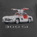 300 SL 