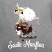 Saute mouflon