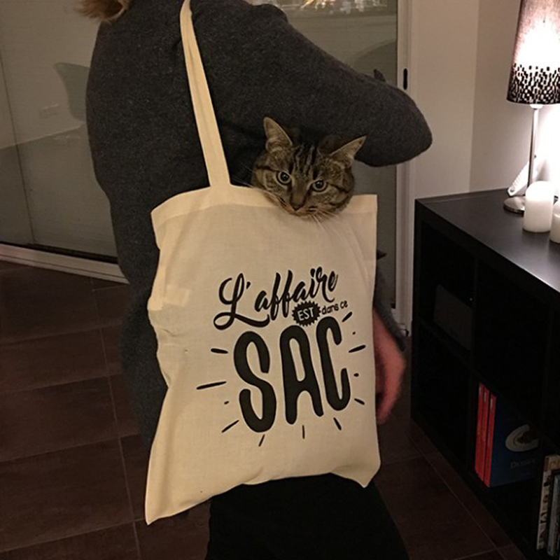 tote-bag-l-affaire-est-dans-le-sac