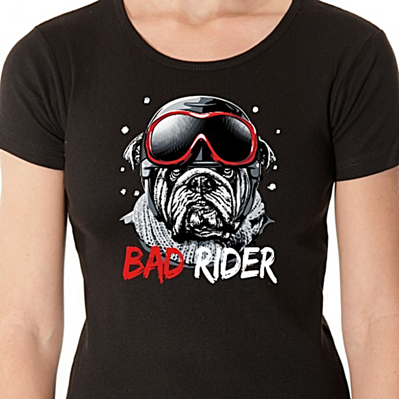 t-shirt-les-alpes-bad-rider