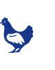 Animaux