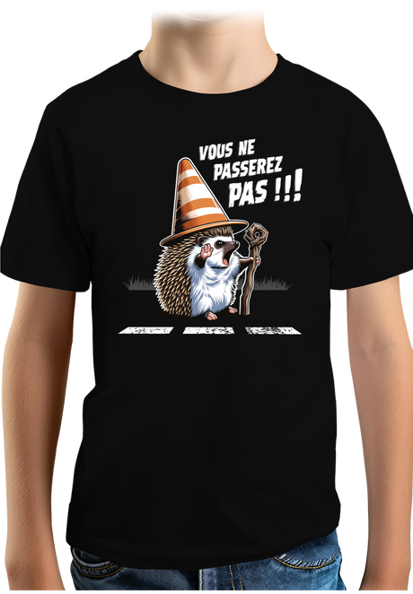 T-Shirt Garçon Hérisson Gandalf, vous ne passerez pas sur la route !
